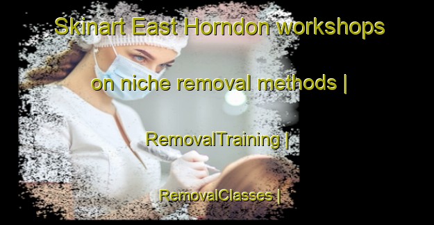 Skinart East Horndon workshops on niche removal methods | RemovalTraining | RemovalClasses | SkinartTraining-United Kingdom